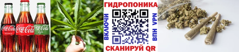 продажа наркотиков  Стародуб  Canna-Cookies конопля 